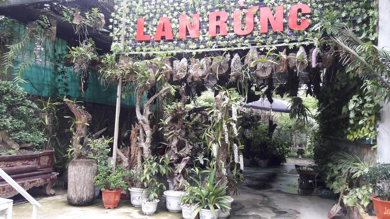 Homestay Lan Rung Nghia Lo Luaran gambar