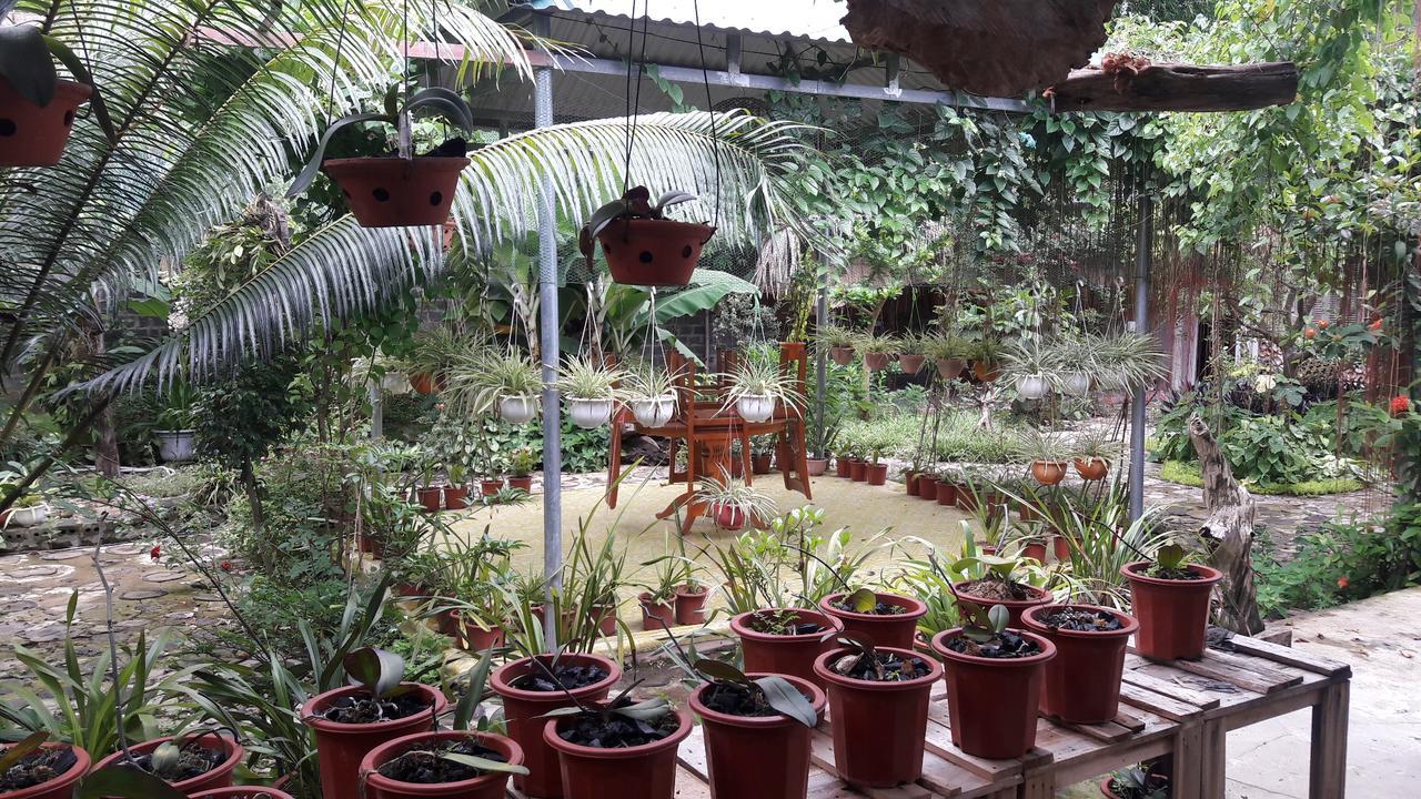 Homestay Lan Rung Nghia Lo Luaran gambar