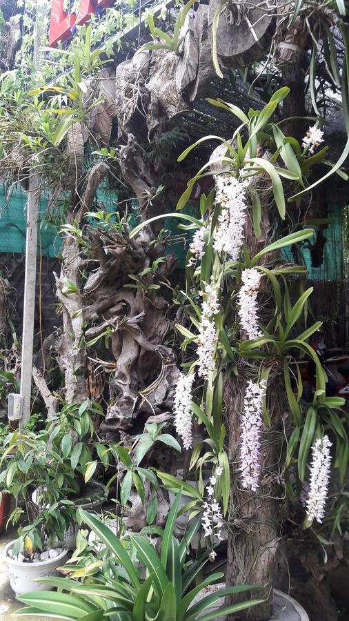 Homestay Lan Rung Nghia Lo Luaran gambar