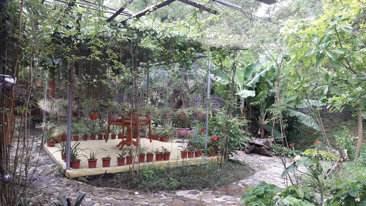 Homestay Lan Rung Nghia Lo Luaran gambar