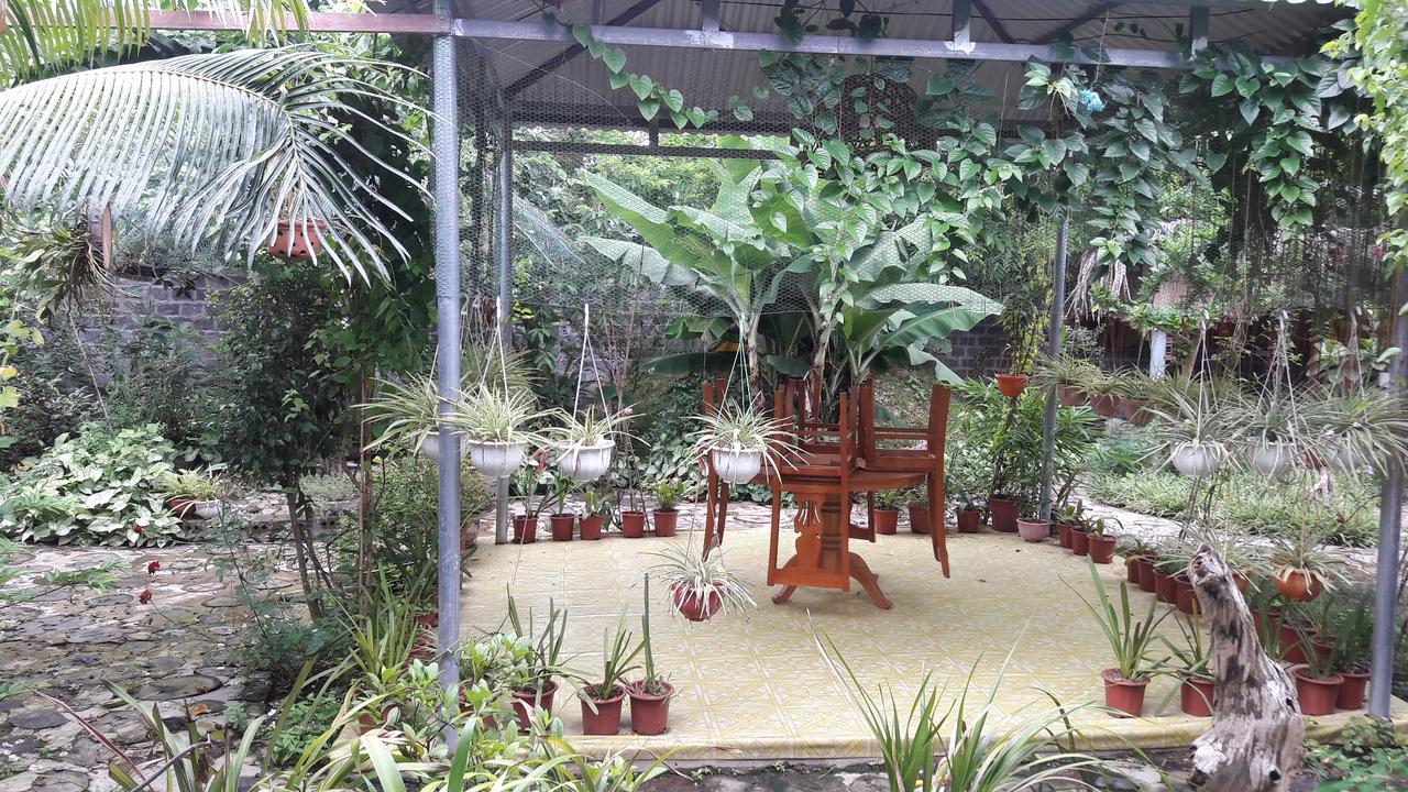 Homestay Lan Rung Nghia Lo Luaran gambar